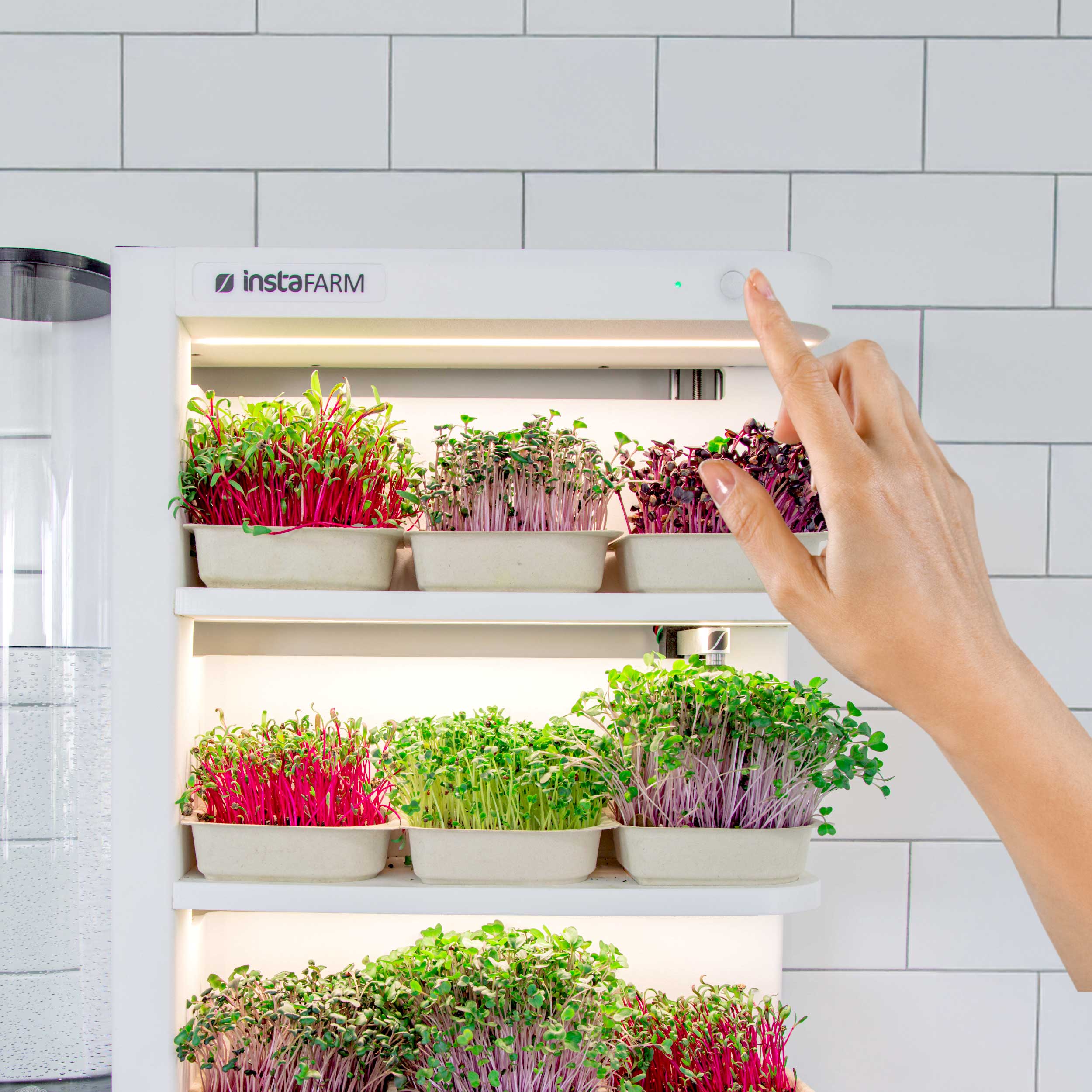 If You Can Press a Button, You Can Grow Microgreens - The Nature of Home Review