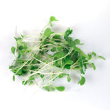 Micro Brussels Sprouts - 9 Tray Pack