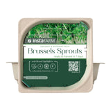 Micro Brussels Sprouts - 9 Tray Pack