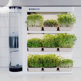Instafarm (Countertop Farm Lease) + 2 Bundles (18 Trays)