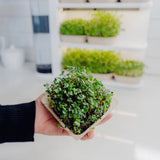 Instafarm (Countertop Farm Lease) + 2 Bundles (18 Trays)