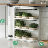 Automated and compact microgreen growing kit