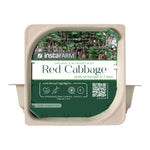 Easy grow Organic Red Cabbage Microgreen Seed and Soil Kit