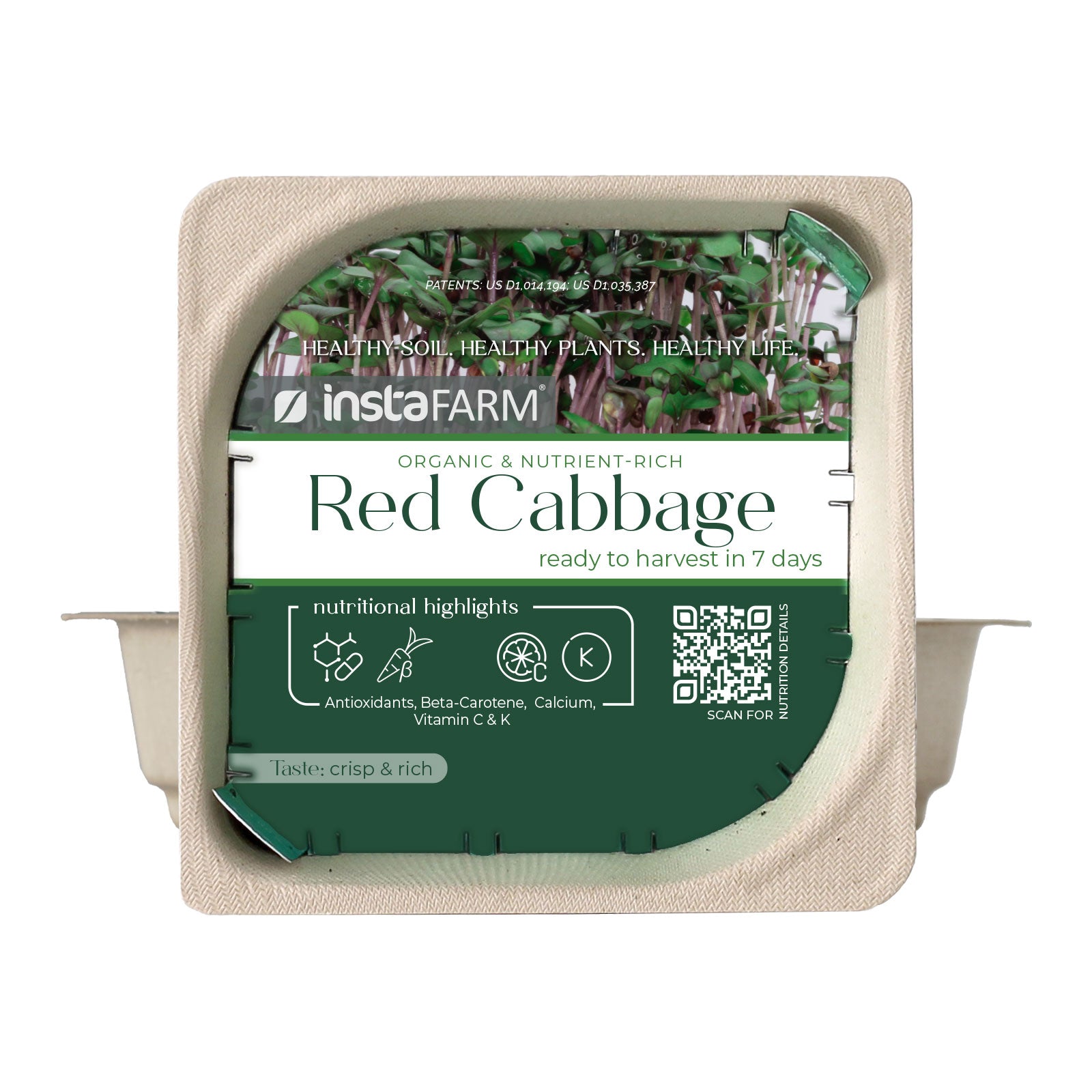Easy grow Organic Red Cabbage Microgreen Seed and Soil Kit
