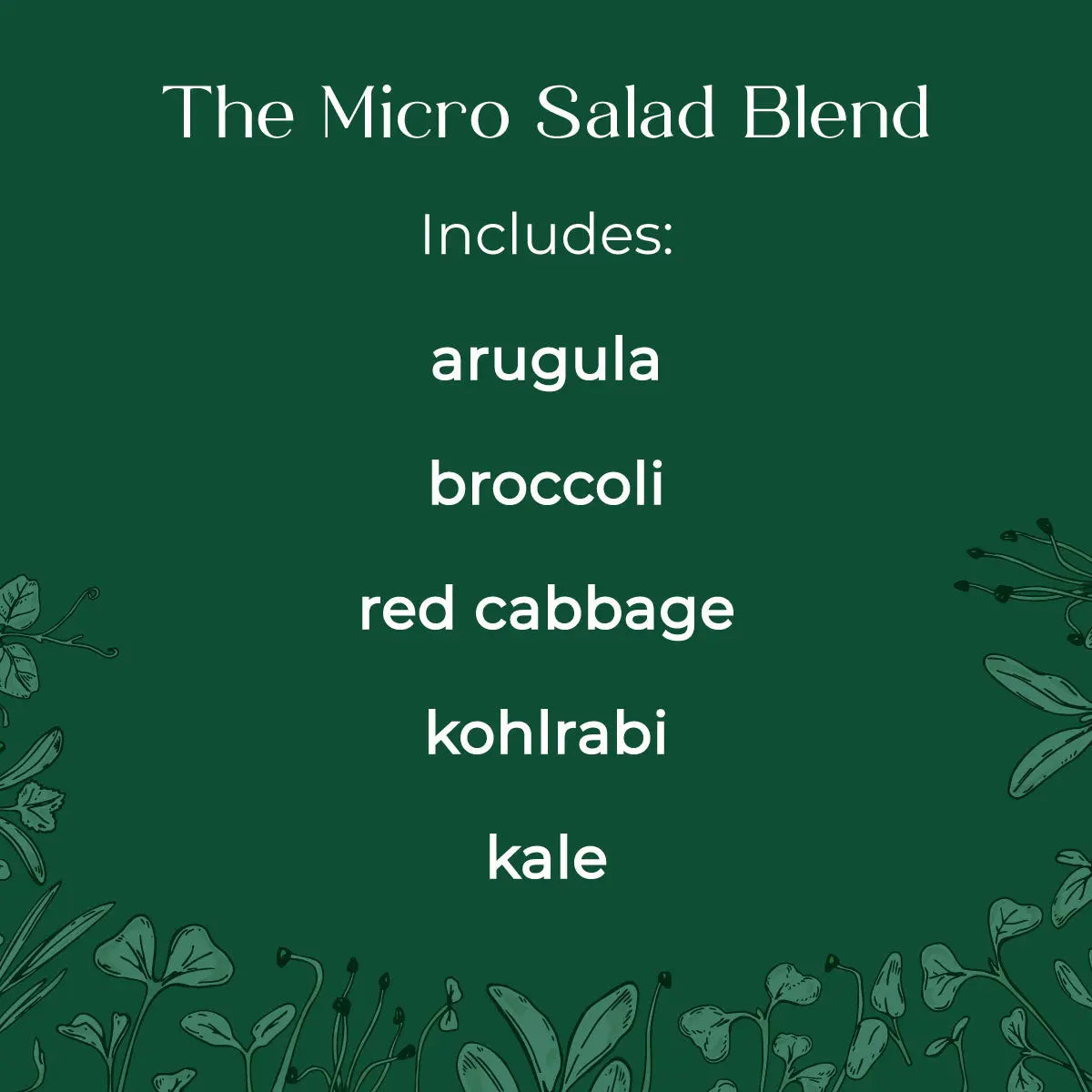 Organic Salad Microgreen blend seeds with soil - arugula, kale, broccoli, kohlrabi, red cabbage
