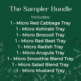 micro green seed and soil sampler - red cabbage, kohlrabi, broccoli, red beet, radish, arugula, mustard