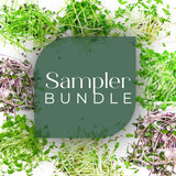 microgreen seed and soil sampler - red cabbage, kohlrabi, broccoli, red beet, radish, arugula, mustard