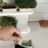 Instafarm (Countertop Farm Lease) + 2 Bundles (18 Trays)