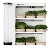 easy grow microgreen kit