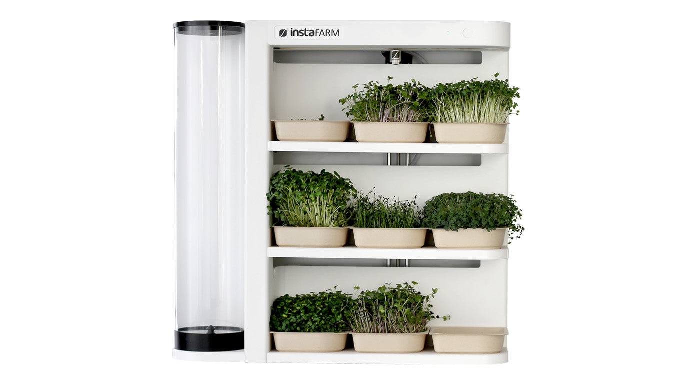 easy grow microgreen kit