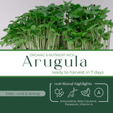 Micro Arugula - Commercial Tray 4 Pack