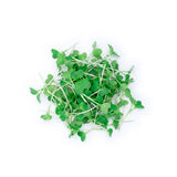 Brussels Sprouts - Commercial Tray
