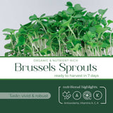 Brussels Sprouts - Commercial Tray 4 Pack