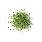 Micro Chives - Commercial Tray