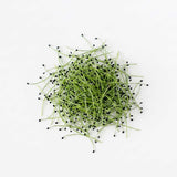 Micro Chives - Commercial Tray 4 Pack