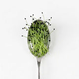 Micro Chives - Commercial Tray 4 Pack