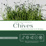 Micro Chives - Commercial Tray 4 Pack