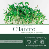 Micro Cilantro - Commercial Tray 4 Pack