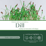 Dill - Commercial Tray 4 Pack