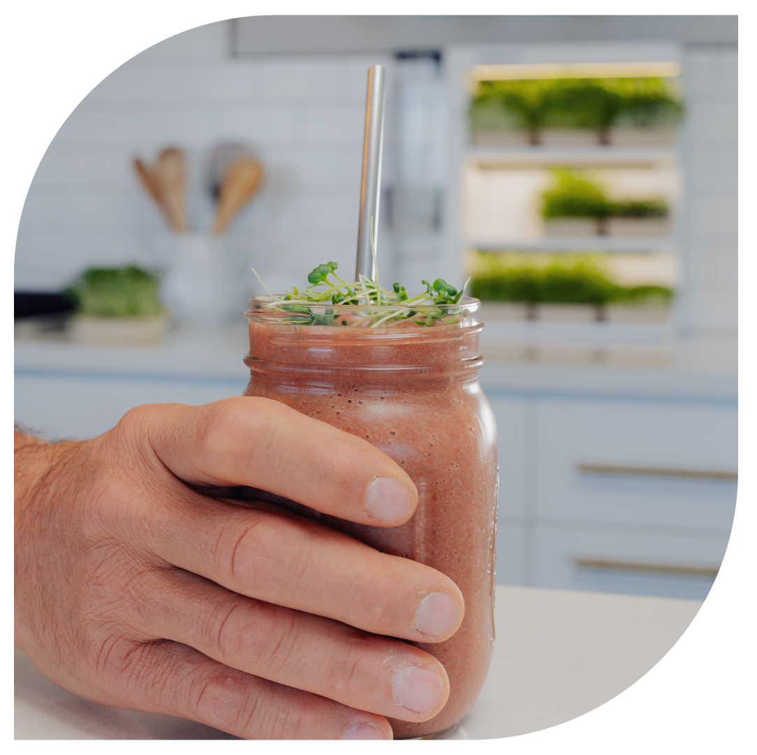 fresh microgreen healthy smoothie
