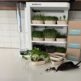 Garden Starter Automated seeds and soil kit