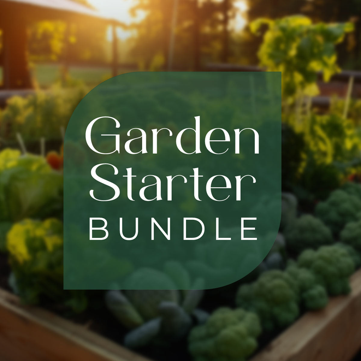 Garden Starter Kit organic soil