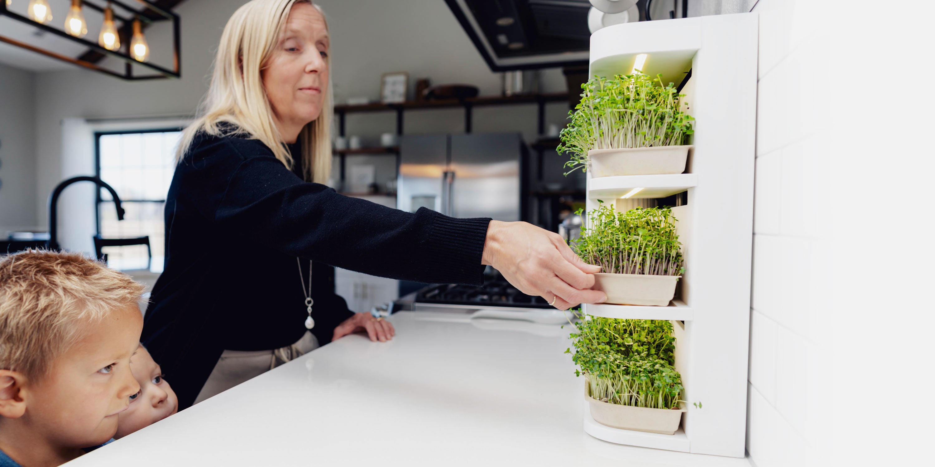 healthy microgreens for your family