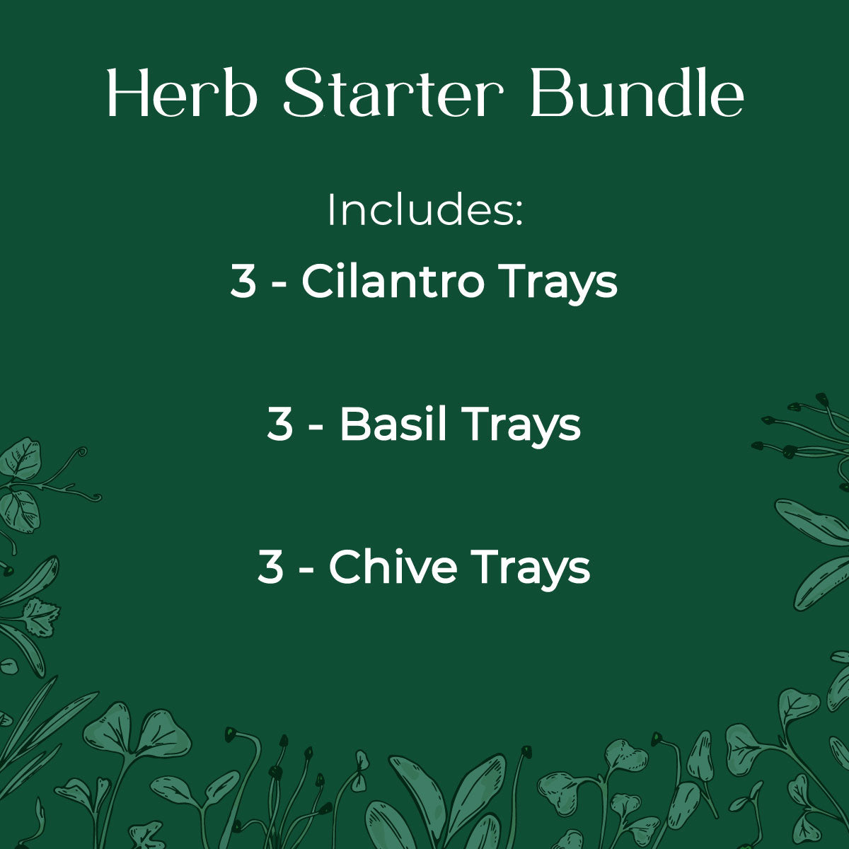 Herb Starter Microgreen seed and soil kit - Cilantro, Basil, Chives