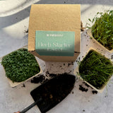 start your garden easily with our herb starter kit