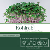 Micro Kohlrabi - Commercial Tray 4 Pack