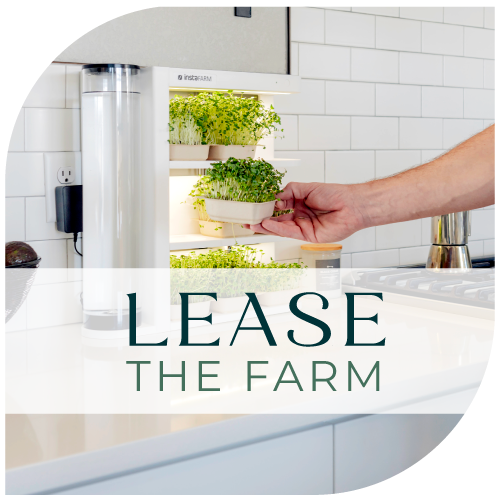 easy microgreen growing kit lease