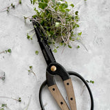 Harvest Scissors