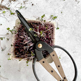 Harvest Scissors