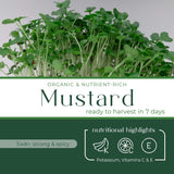 Micro Mustard - Commercial Tray 4 Pack