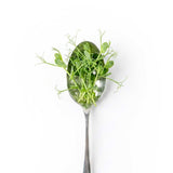 Peas - Commercial Tray