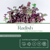 Micro Radish - Commercial Tray 4 Pack