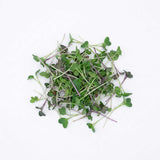 Micro Salad Blend - Commercial Tray 4 Pack