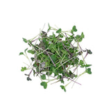 Micro Salad Blend - Commercial Tray