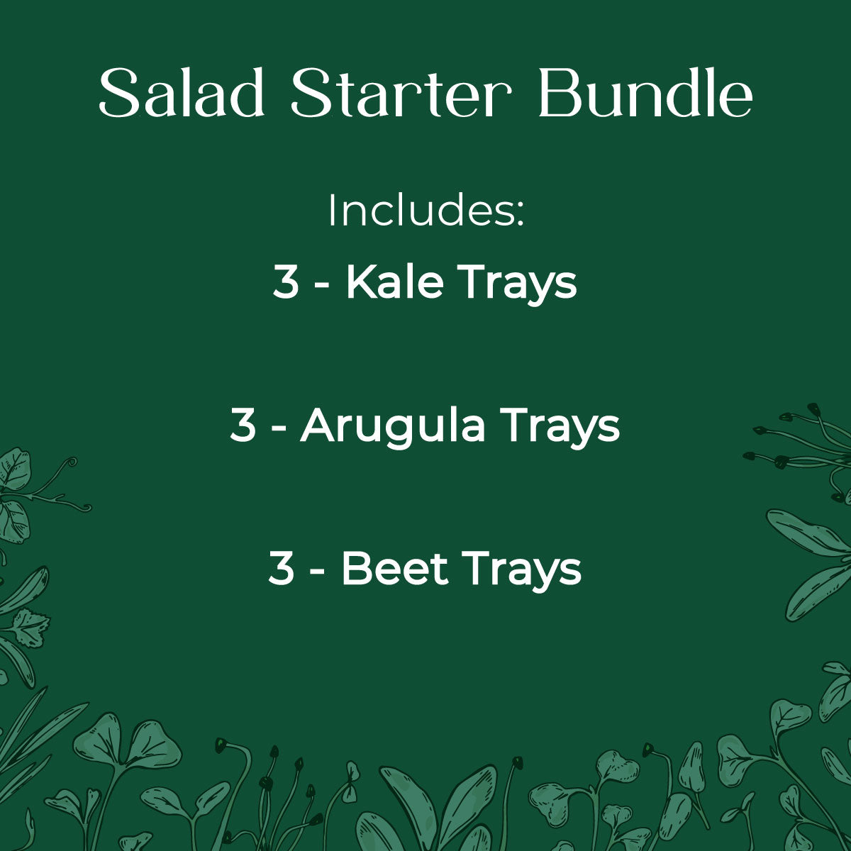 Salad Starter Microgreen seed and soil kit - Kale, Arugula, Beets