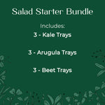 Salad Starter Microgreen seed and soil kit - Kale, Arugula, Beets