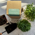 start your garden easily with our salad starter kit