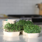 Instafarm (Countertop Farm Lease) + 2 Bundles (18 Trays)