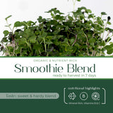 Smoothie Blend - Commercial Tray 4 Pack