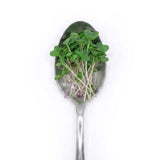 Smoothie Blend - Commercial Tray