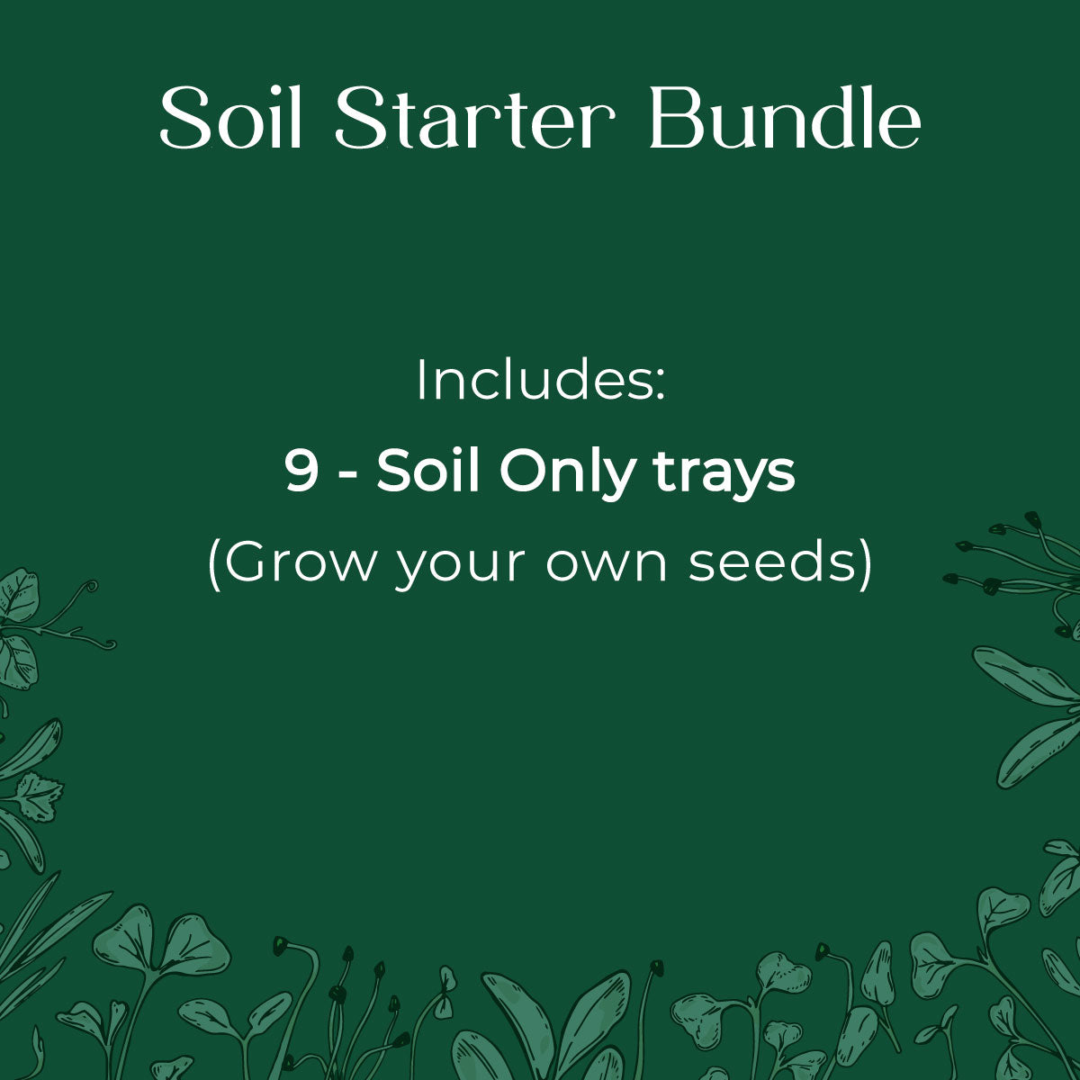 Easily Grow your own seeds