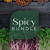 Spicy Bundle -9 Tray Pack