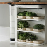 Automated and compact micro green growing kitchen kit
