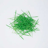 Wheat grass - Commercial Tray 4 Pack