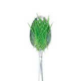 Wheat grass - Commercial Tray