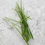 Micro Wheat Grass - 9 Tray Pack